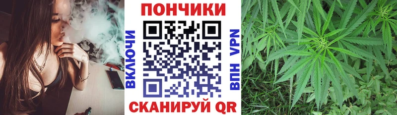 Бошки Шишки ГИДРОПОН  Сосенский 